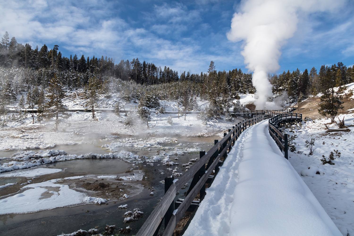 A boardwalk winding past steaming pools and bare trees at the Mud Volcano.